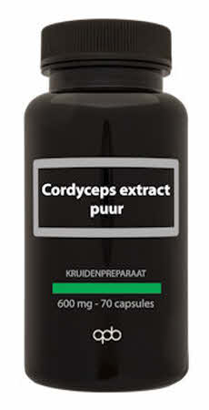 Cordyceps extract